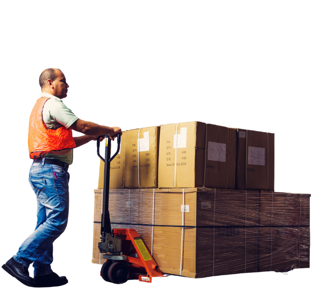 Manuali ed Elettrici